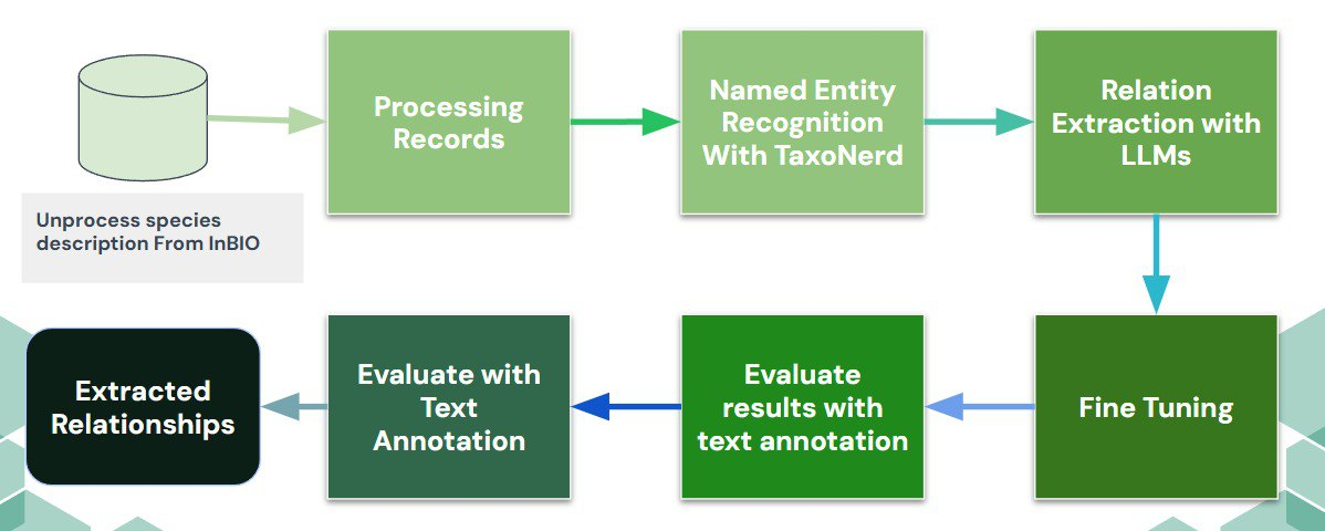 Relationship extraction from unstructured species descriptions using TaxonNERD and LLaMA2 - 7B